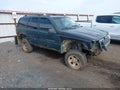 1998 Jeep Grand Cherokee — photo 1 of 14 | VIN 1J4GZ58S5WC335294