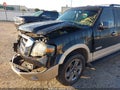 2008 Ford Expedition — photo 14 of 15 | VIN 1FMFK17568LA11246