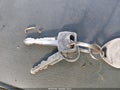 1981 Ford F-150 Lightning — photo 11 of 11 | VIN 1FTDF14E8BPA76846