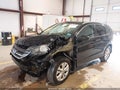 2013 Honda CR-V — photo 2 of 16 | VIN 2HKRM3H71DH516195