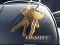 1990 Toyota Camry — photo 11 of 12 | VIN 4T1SV24E1LU135394