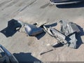 2024 Toyota Camry — photo 12 of 17 | VIN 4T1K61AK2RU190740