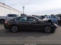 2016 Honda Accord — photo 14 of 17 | VIN 1HGCR2F8XGA009631