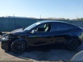2022 Tesla Model Y — photo 13 of 15 | VIN 7SAYGDEE0NF307741