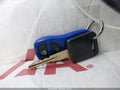 2004 Nissan 350Z — photo 11 of 19 | VIN JN1AZ36A64T015797