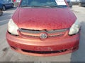 2003 Toyota Echo — photo 12 of 13 | VIN JTDBT123635042516
