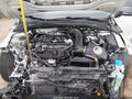 2024 Volkswagen Golf — photo 10 of 19 | VIN WVWHA7CD9RW233747