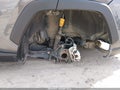 2024 Toyota RAV4 — photo 6 of 18 | VIN 2T3C1RFV3RW338633