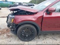 2024 Kia Telluride — photo 19 of 19 | VIN 5XYP5DGC6RG516751