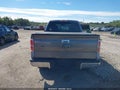 2010 Ford F-150 — photo 16 of 16 | VIN 1FTEX1E82AFD81919