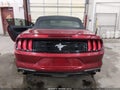 2019 Ford Mustang — photo 17 of 17 | VIN 1FATP8UH1K5187400