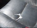 1999 Pontiac Grand Prix — photo 11 of 16 | VIN 1G2WP52K4XF338885