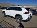 2019 Toyota RAV4 — photo 3 of 16 | VIN 2T3F1RFV0KW036686