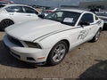2011 Ford Mustang — photo 2 of 12 | VIN 1ZVBP8AM8B5151787