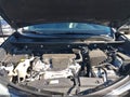 2016 Toyota RAV4 — photo 10 of 16 | VIN 2T3YFREV8GW279665