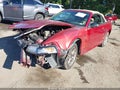 2003 Ford Mustang — photo 2 of 16 | VIN 1FAFP44453F367431