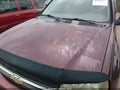 2006 Chevrolet Trailblazer — photo 6 of 12 | VIN 1GNDT13S162343500