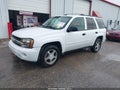 2008 Chevrolet Trailblazer — photo 2 of 11 | VIN 1GNDT13S982183546