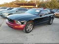 2009 Ford Mustang — photo 2 of 17 | VIN 1ZVHT80N495136858