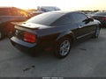 2009 Ford Mustang — photo 4 of 17 | VIN 1ZVHT80N495136858