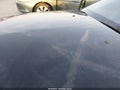2009 Ford Mustang — photo 12 of 17 | VIN 1ZVHT80N495136858