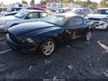 2013 Ford Mustang — photo 2 of 19 | VIN 1ZVBP8AM2D5281695