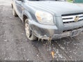 2008 Honda Pilot — photo 6 of 16 | VIN 5FNYF18508B019877