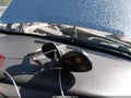 2004 Chevrolet Silverado 1500 — photo 11 of 17 | VIN 2GCEK19TX41121633