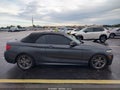 2016 BMW 2 Series — photo 13 of 16 | VIN WBA1K9C56GV322503