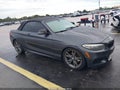 2016 BMW 2 Series — photo 1 of 16 | VIN WBA1K9C56GV322503