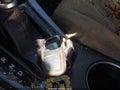 2016 Hyundai Elantra — photo 11 of 16 | VIN KMHDH4AE3GU621341
