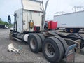 1999 Freightliner Conventional — photo 3 of 11 | VIN 1FUYSCYBXXLB46124