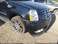 2011 Cadillac Escalade — photo 19 of 19 | VIN 1GYS4BEF3BR346848