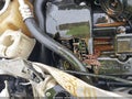 2005 Chrysler Sebring — photo 19 of 20 | VIN 1C3EL65R85N700080
