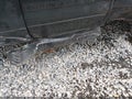 2017 Chevrolet Silverado 1500 — photo 20 of 21 | VIN 1GCVKREC7HZ266680