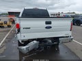 2014 Ford F-150 — photo 6 of 18 | VIN 1FTFW1EF1EFC53375