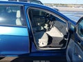 2018 Volkswagen Golf — photo 5 of 17 | VIN 3VWG17AU8JM276282