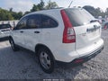 2009 Honda CR-V — photo 3 of 16 | VIN 5J6RE38319L012057
