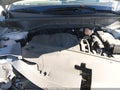 2025 Kia Sorento — photo 10 of 16 | VIN 5XYRLDJCXSG323063