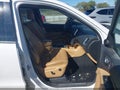 2013 Dodge Durango — photo 5 of 17 | VIN 1C4RDJEG4DC668637
