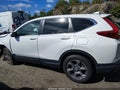 2019 Honda CR-V — photo 14 of 17 | VIN 2HKRW2H81KH656824