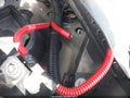 2025 Tesla Modelo Y — photo 18 of 19 | VIN 7SAYGDEE7SA364852