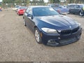 2013 BMW 5 Series — photo 1 of 14 | VIN WBAXH5C55DDW12816