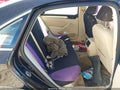 2013 Volkswagen Passat — photo 8 of 11 | VIN 1VWBP7A34DC047037