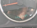 2016 Jeep Wrangler Unlimited — photo 15 of 16 | VIN 1C4BJWEG7GL119476