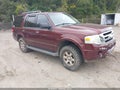 2010 Ford Expedition — photo 1 of 13 | VIN 1FMJU1G50AEA14934