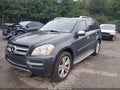 2010 Mercedes-Benz GL-Class — photo 2 of 12 | VIN 4JGBF7BE8AA610034