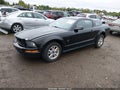 2009 Ford Mustang — photo 2 of 18 | VIN 1ZVHT80N995120199