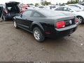 2009 Ford Mustang — photo 3 of 18 | VIN 1ZVHT80N995120199