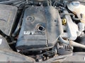 2004 Volkswagen Passat — photo 10 of 13 | VIN WVWVD63B84E273786